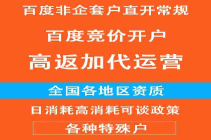 百度搜索推广实战技巧：成功案例背后的优化策略